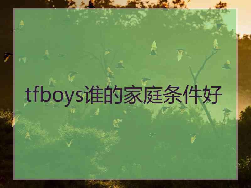 tfboys谁的家庭条件好