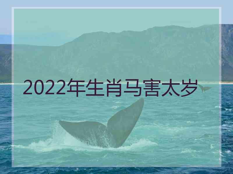 2022年生肖马害太岁