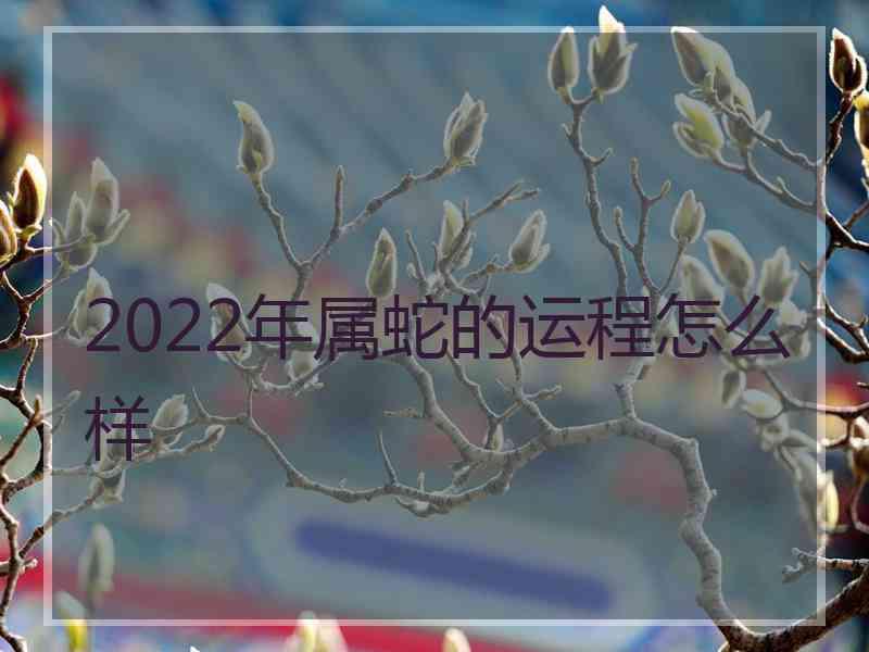 2022年属蛇的运程怎么样
