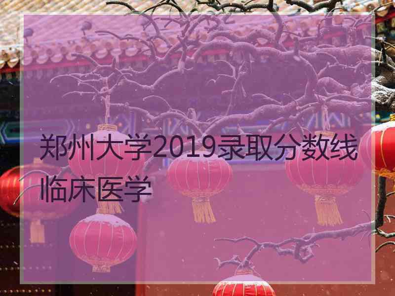 郑州大学2019录取分数线临床医学