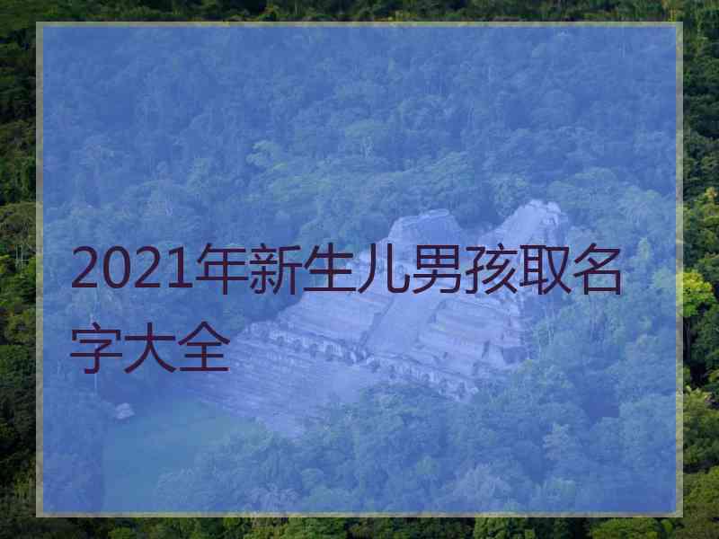 2021年新生儿男孩取名字大全