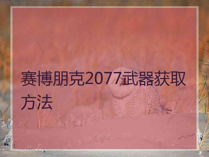 赛博朋克2077武器获取方法