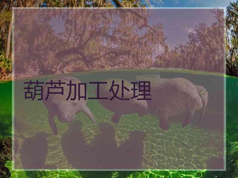 葫芦加工处理