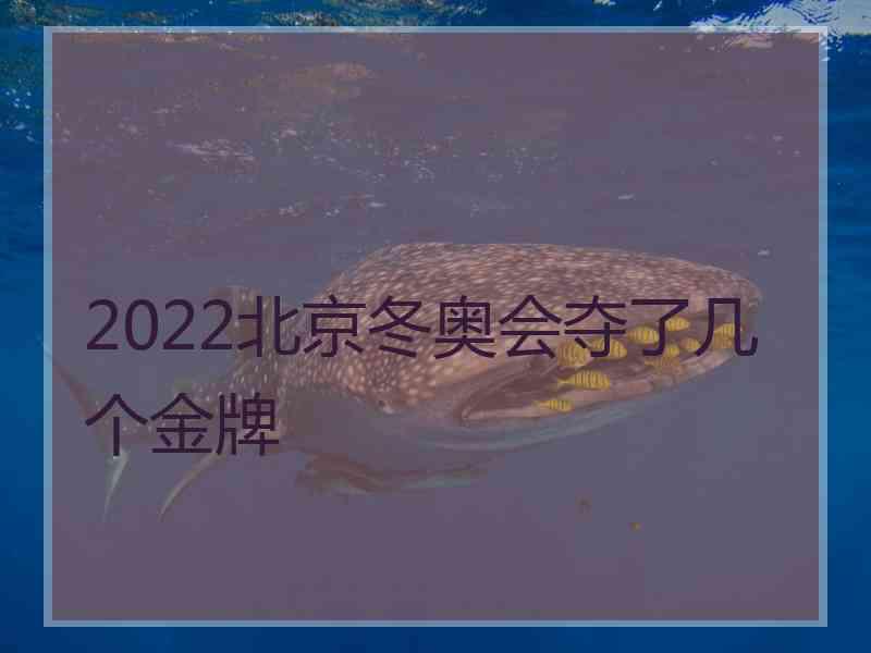2022北京冬奥会夺了几个金牌