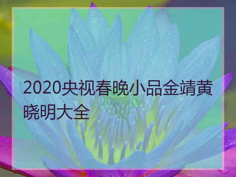 2020央视春晚小品金靖黄晓明大全