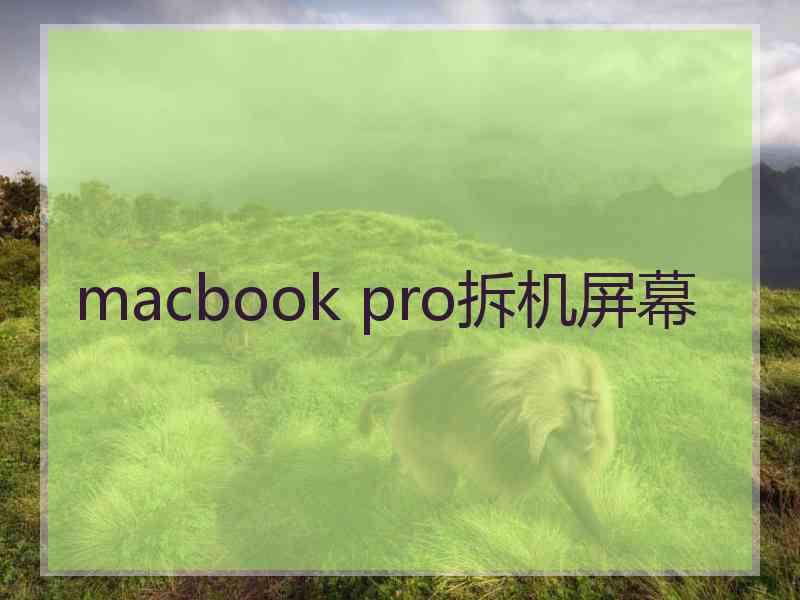 macbook pro拆机屏幕