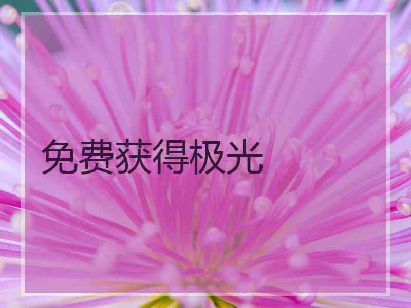 免费获得极光