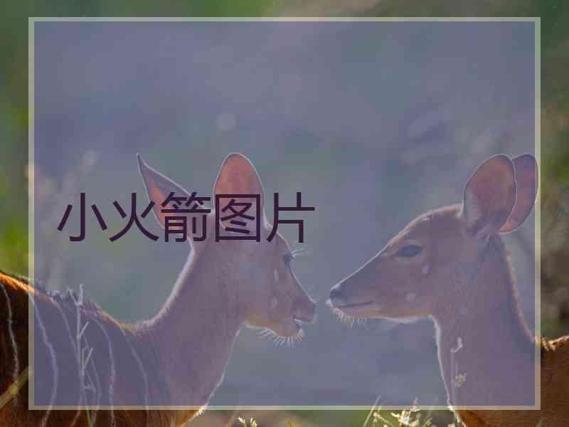 小火箭图片