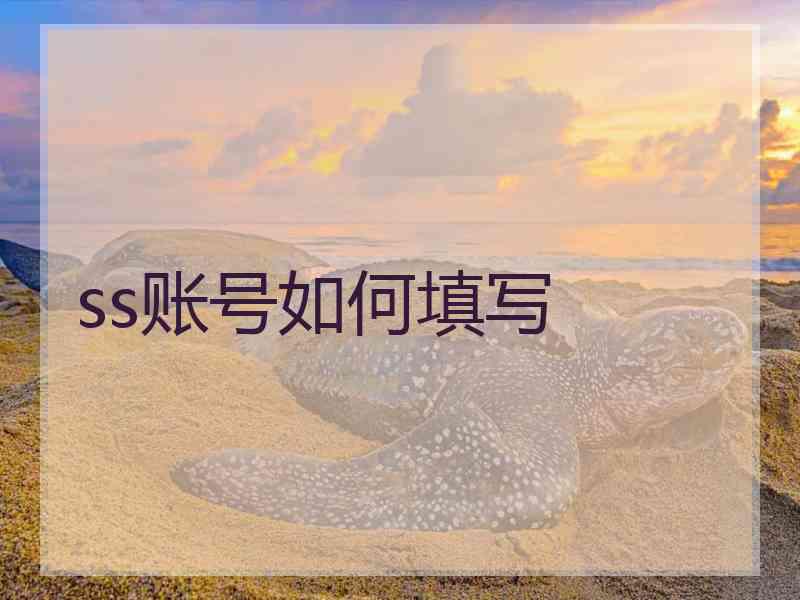 ss账号如何填写