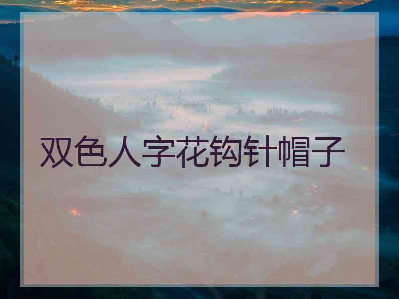 双色人字花钩针帽子
