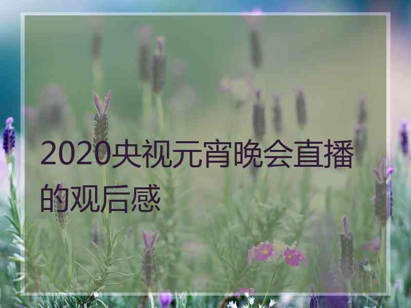 2020央视元宵晚会直播的观后感
