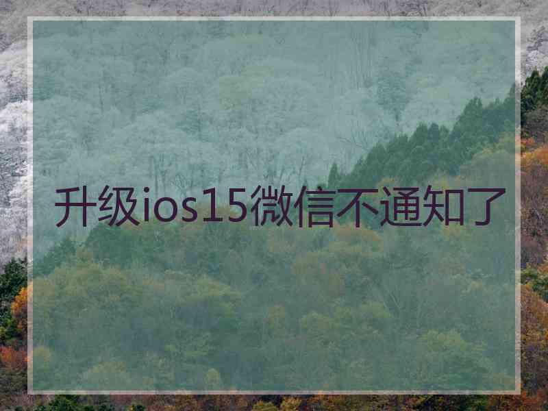 升级ios15微信不通知了