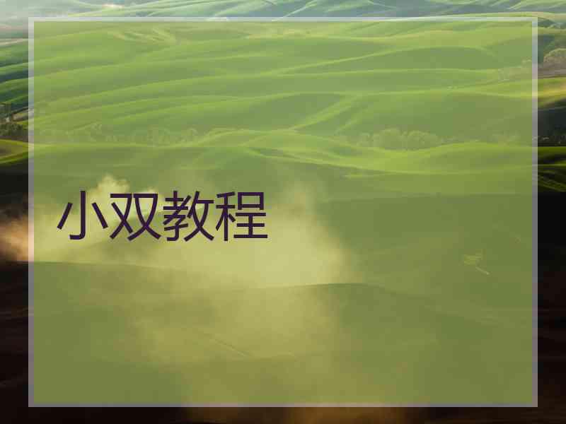 小双教程
