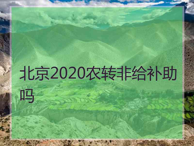 北京2020农转非给补助吗