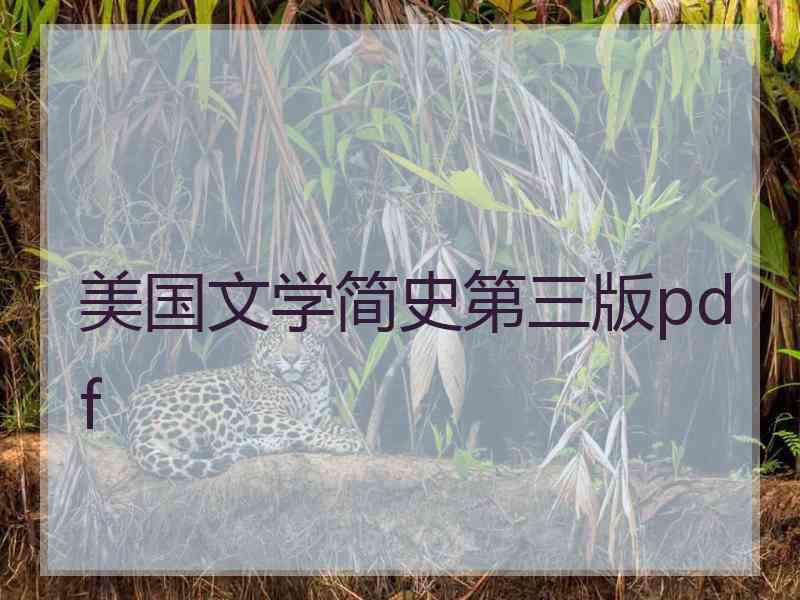 美国文学简史第三版pdf