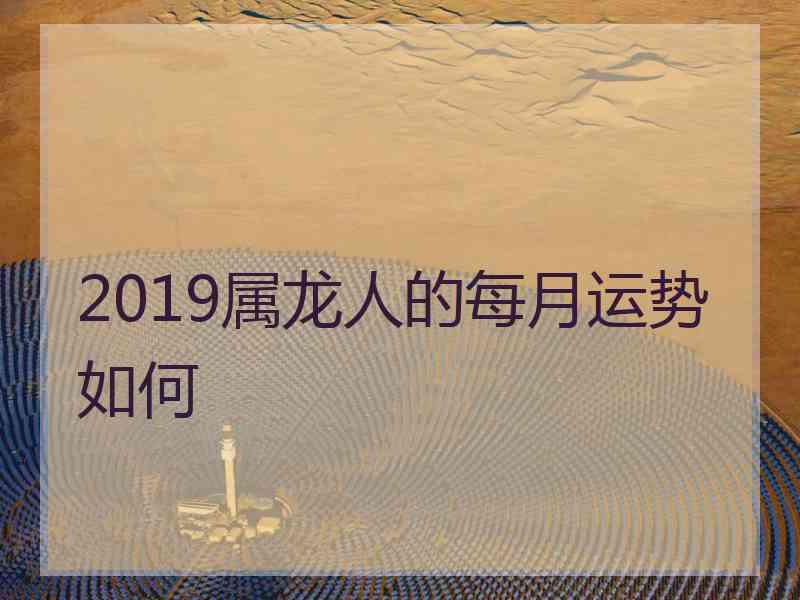 2019属龙人的每月运势如何