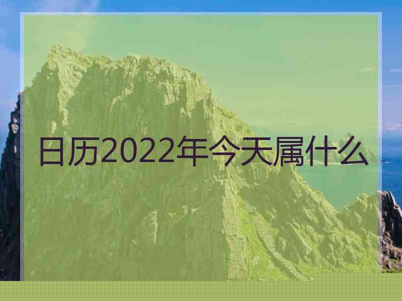 日历2022年今天属什么