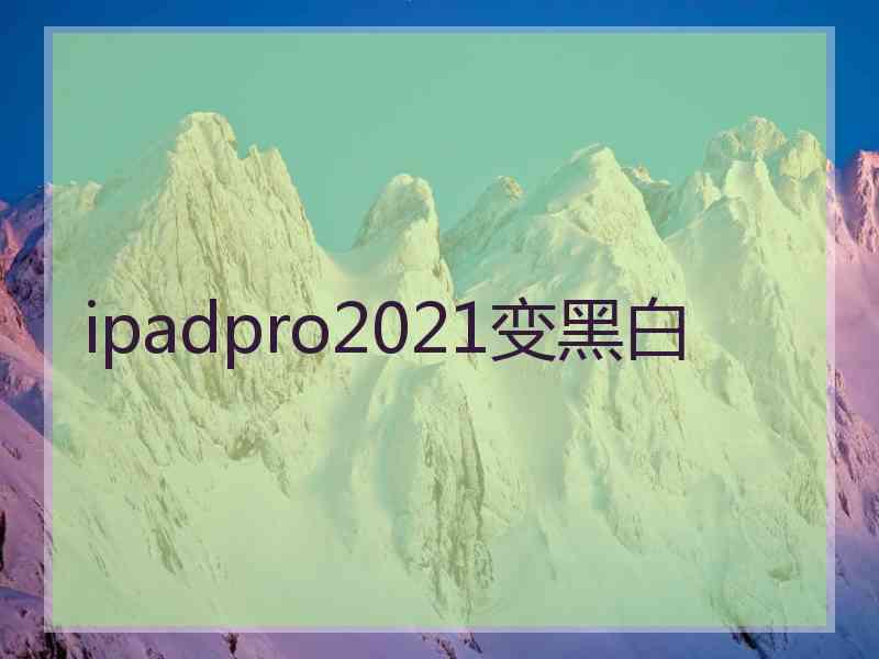 ipadpro2021变黑白