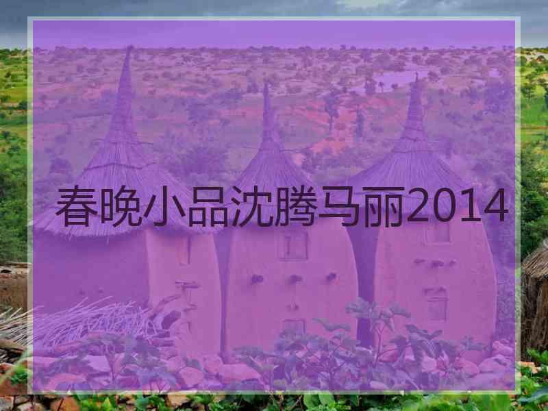 春晚小品沈腾马丽2014