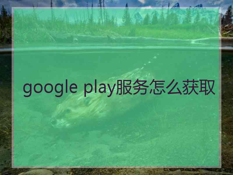 google play服务怎么获取