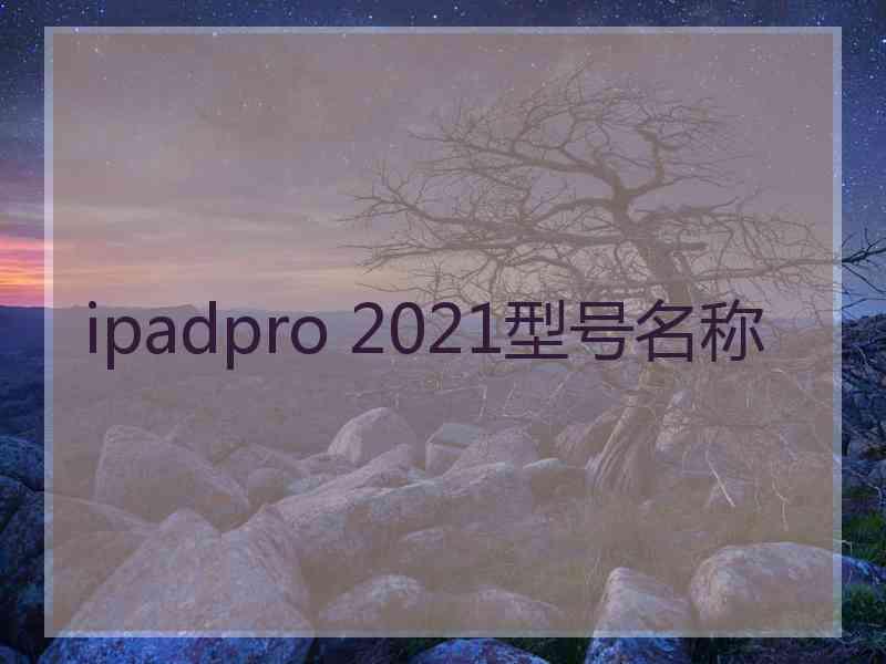 ipadpro 2021型号名称