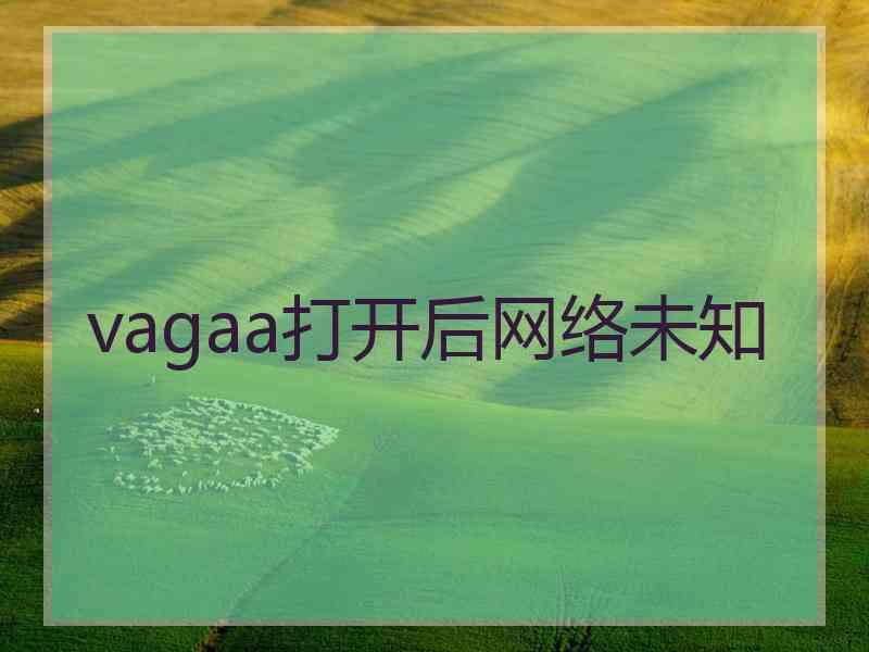 vagaa打开后网络未知
