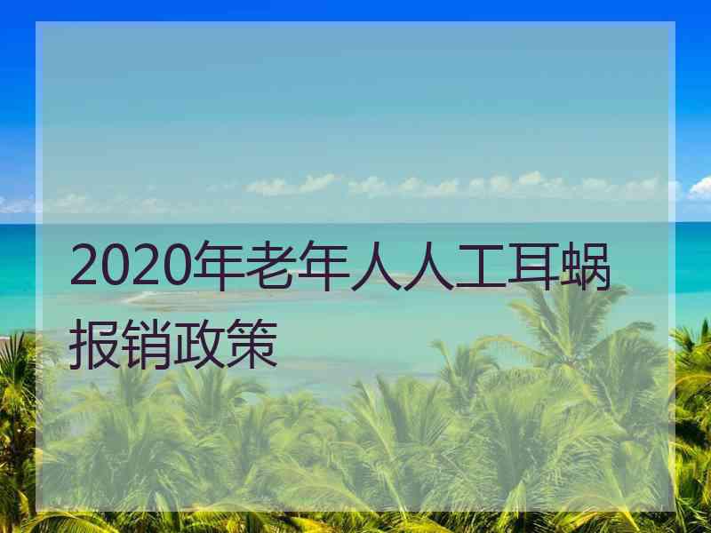 2020年老年人人工耳蜗报销政策