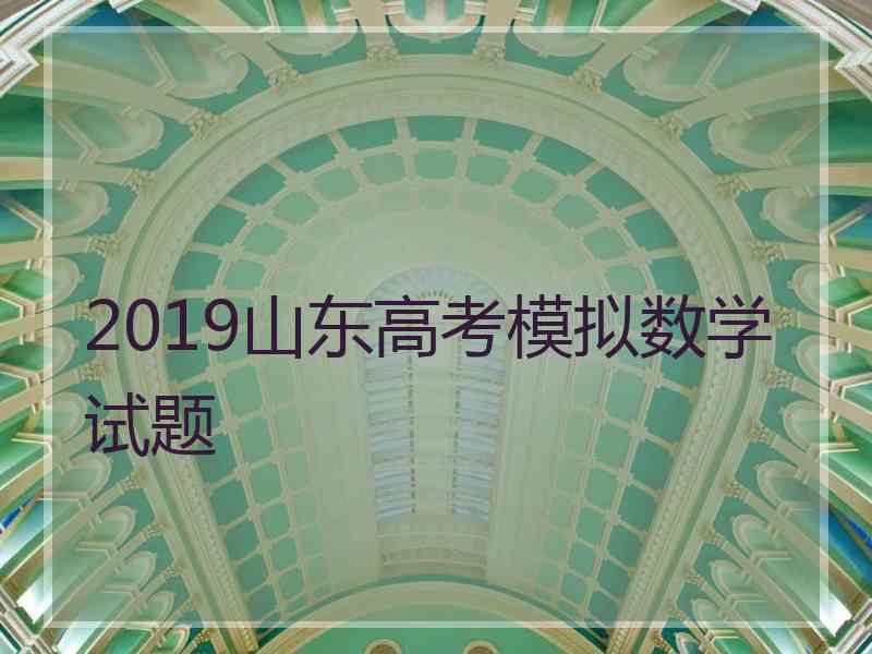 2019山东高考模拟数学试题