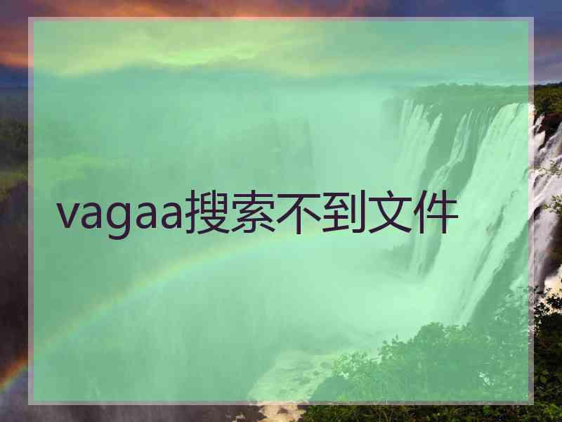vagaa搜索不到文件
