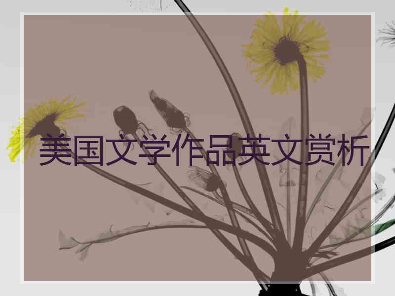 美国文学作品英文赏析