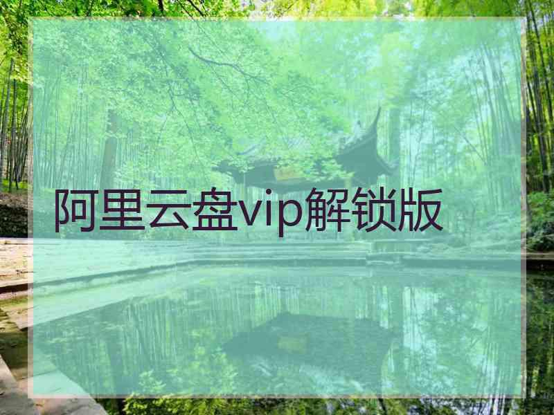 阿里云盘vip解锁版