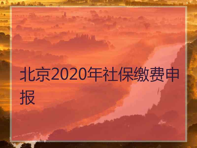 北京2020年社保缴费申报