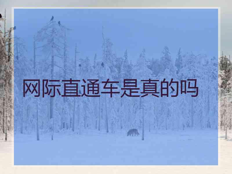 网际直通车是真的吗