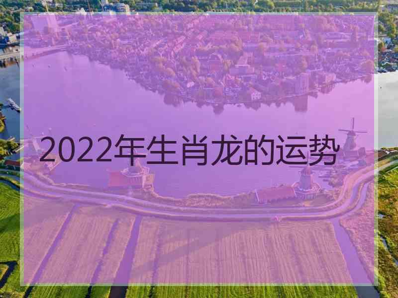2022年生肖龙的运势
