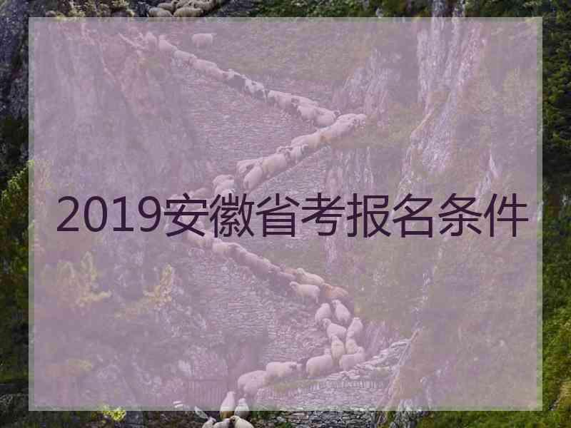 2019安徽省考报名条件