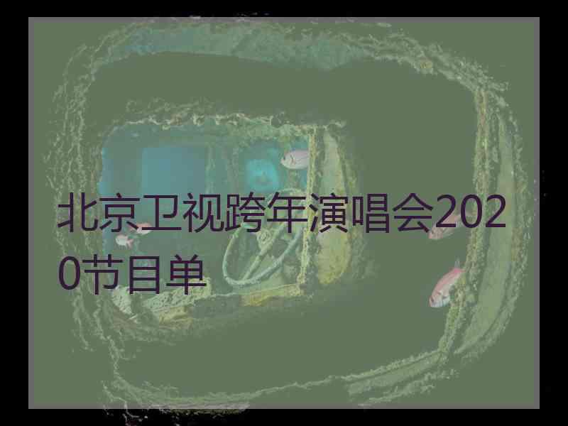 北京卫视跨年演唱会2020节目单
