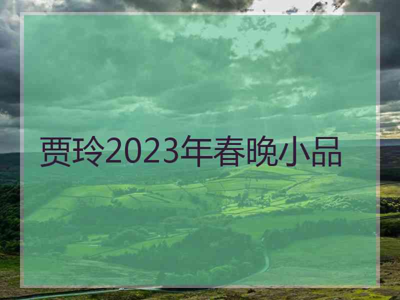 贾玲2023年春晚小品