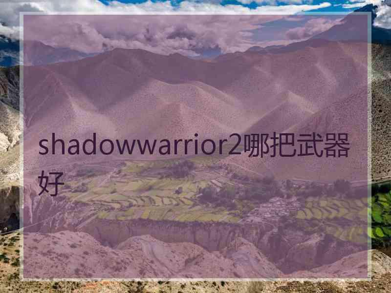 shadowwarrior2哪把武器好