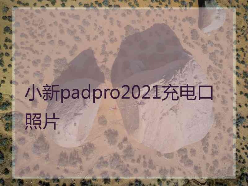 小新padpro2021充电口照片