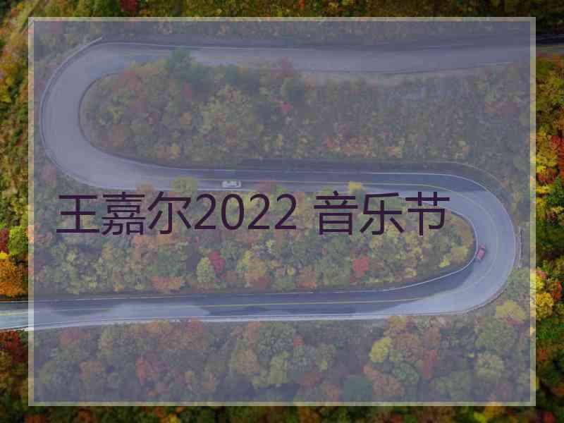 王嘉尔2022 音乐节