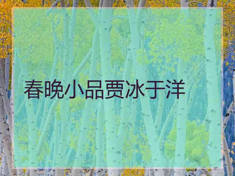 春晚小品贾冰于洋