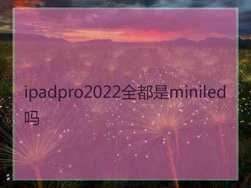 ipadpro2022全都是miniled吗