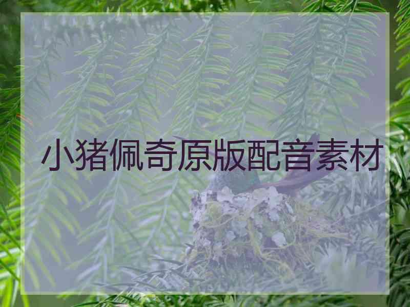 小猪佩奇原版配音素材