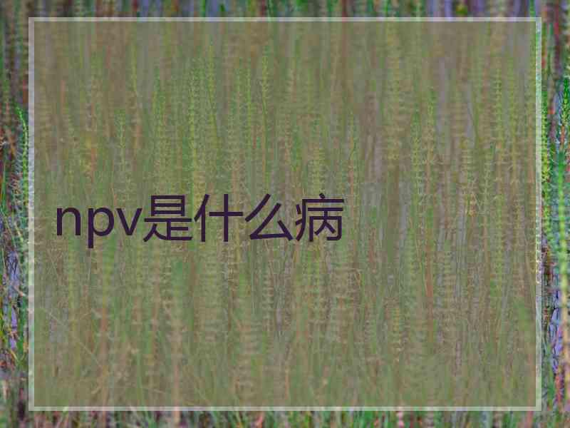 npv是什么病