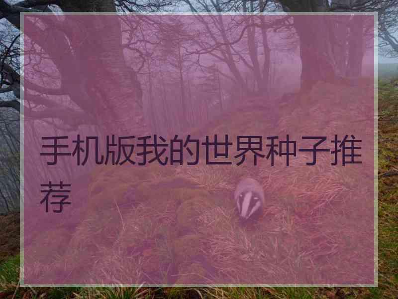 手机版我的世界种子推荐