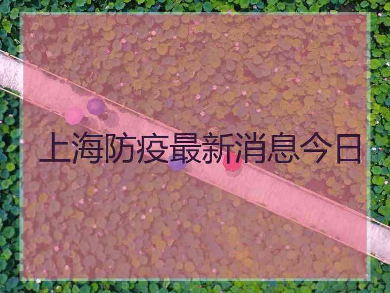 上海防疫最新消息今日
