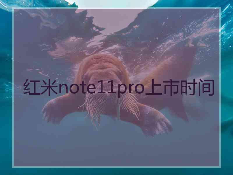 红米note11pro上市时间