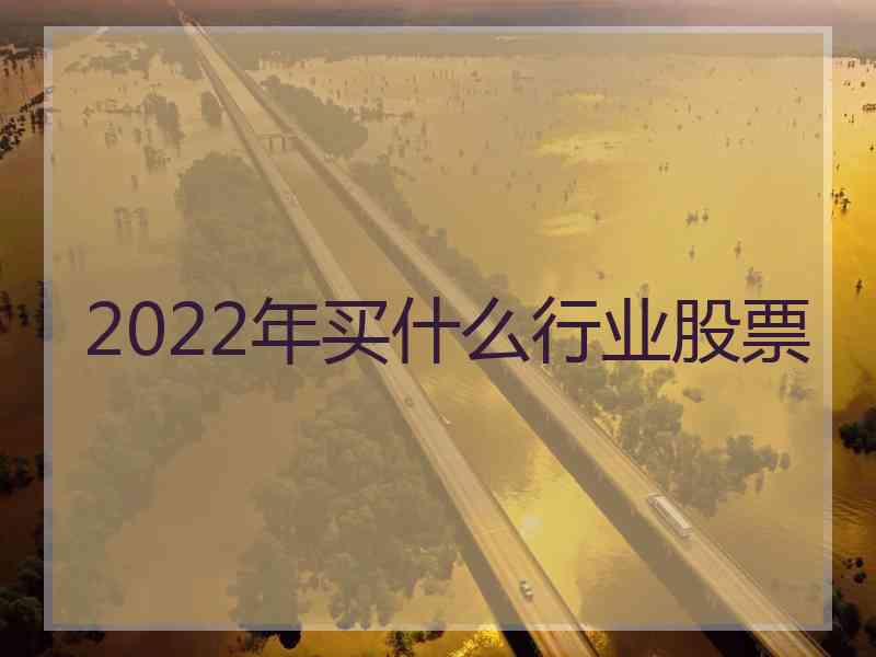 2022年买什么行业股票