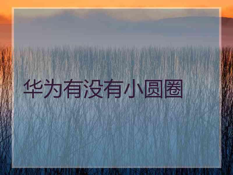 华为有没有小圆圈