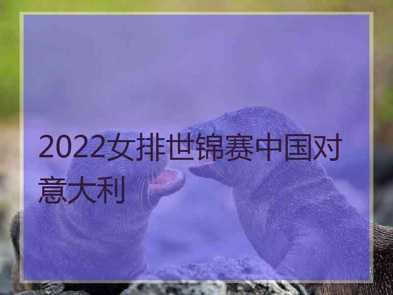 2022女排世锦赛中国对意大利